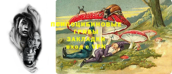 наркотики Каменка