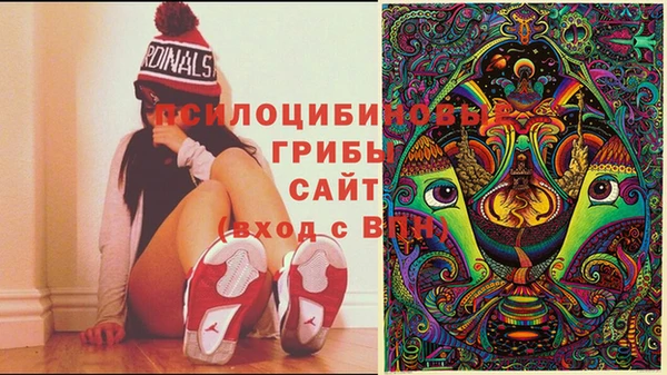 MDMA Premium VHQ Каменск-Шахтинский